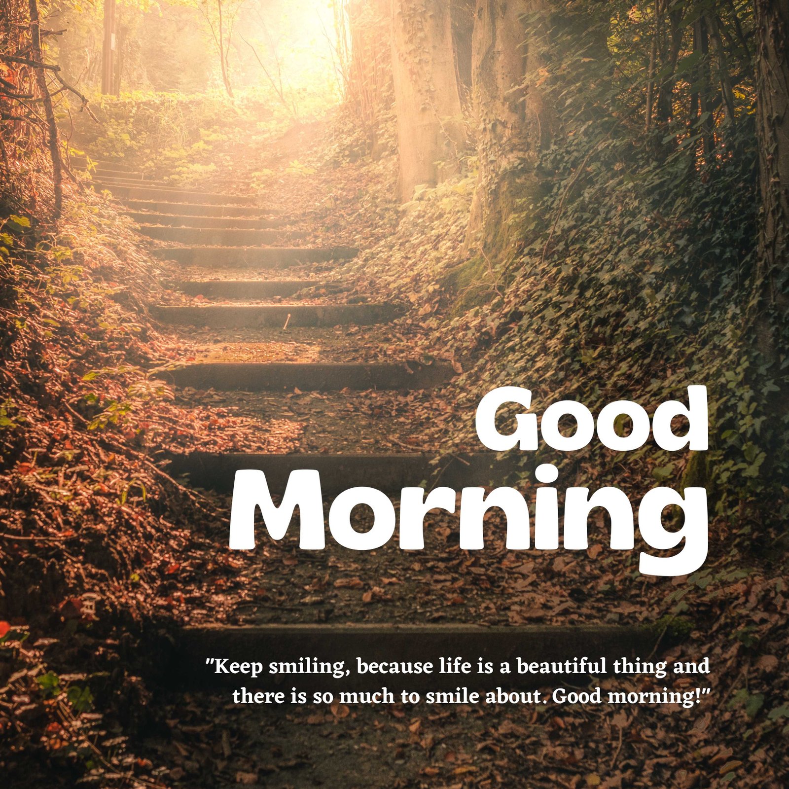 Good Morning