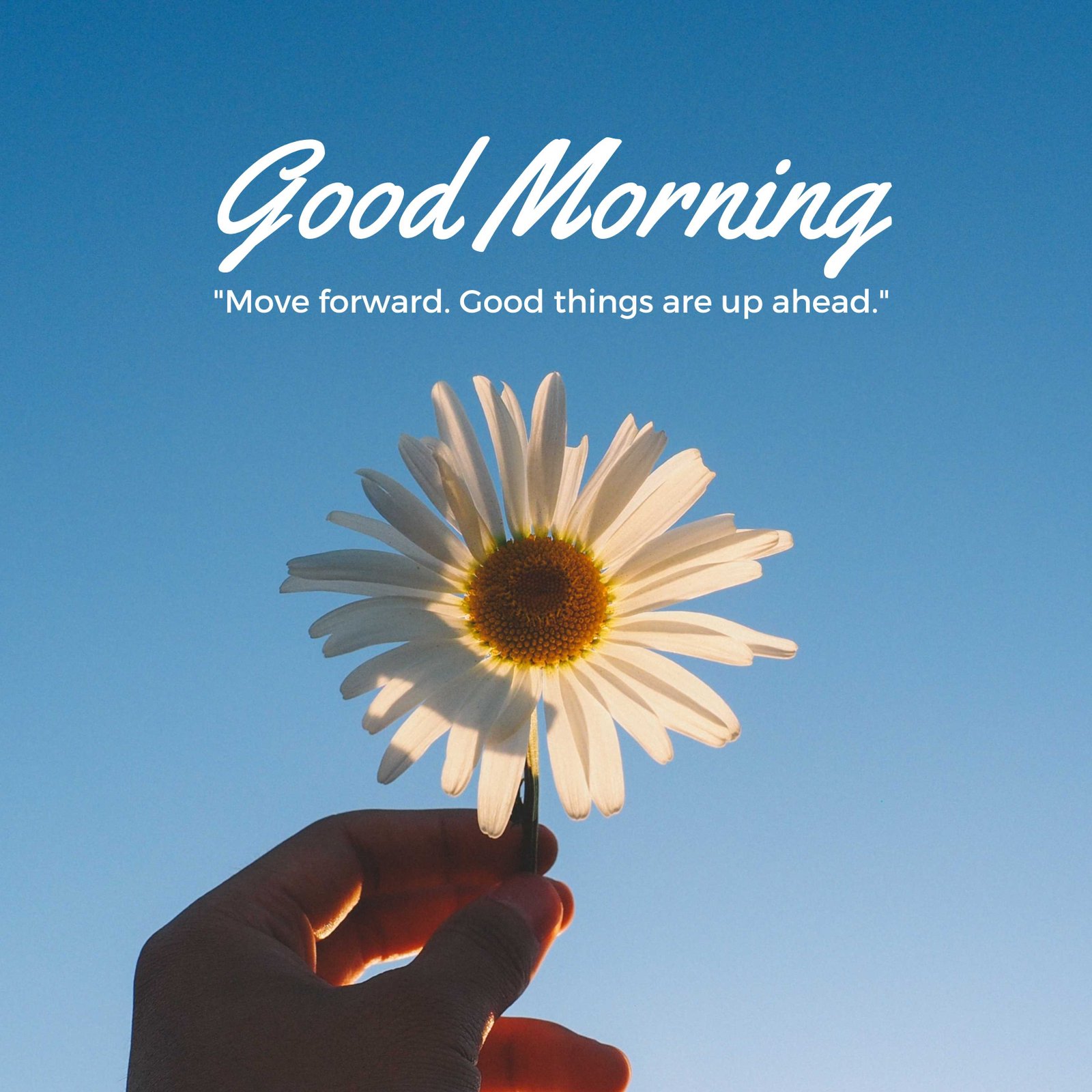 Good Morning