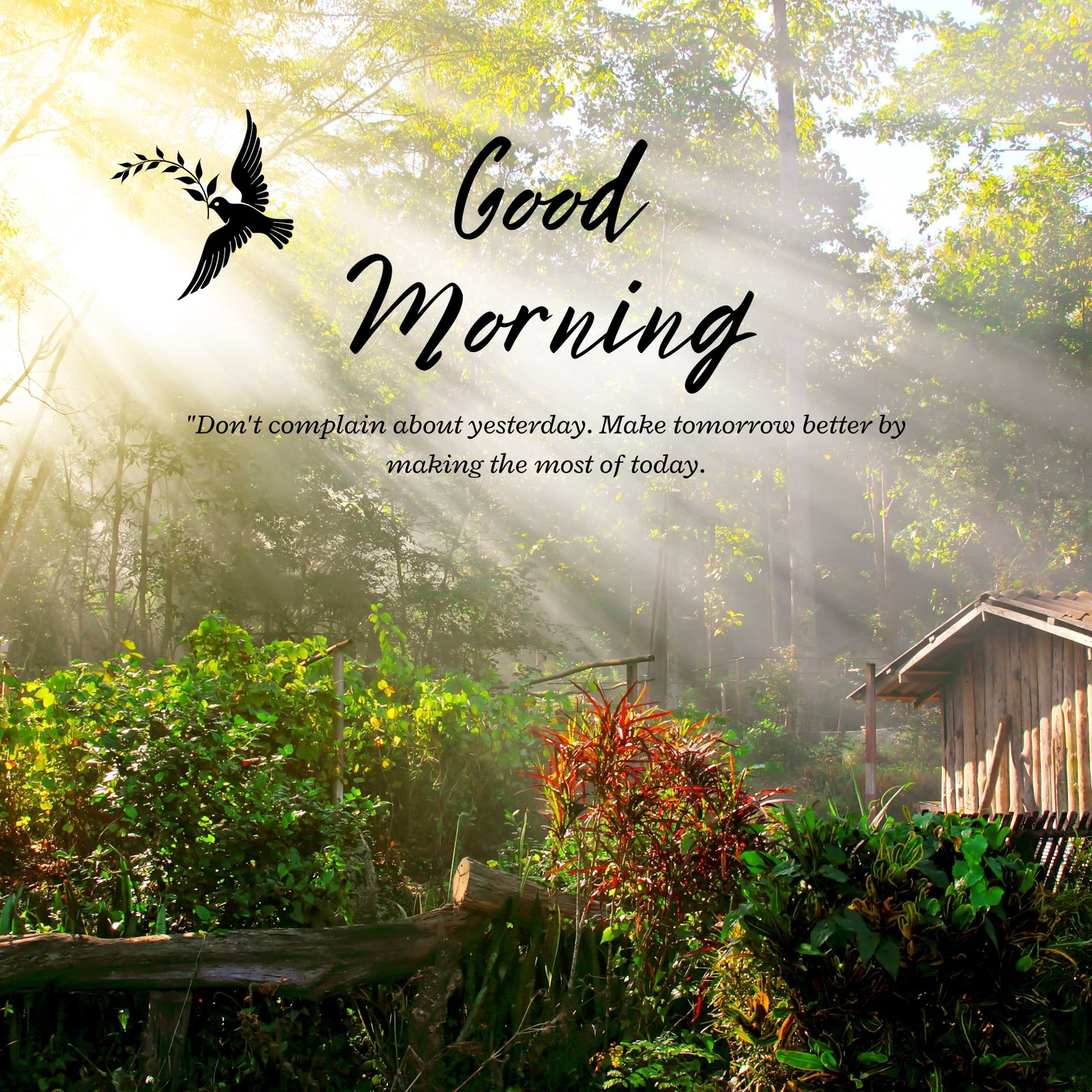 Good Morning