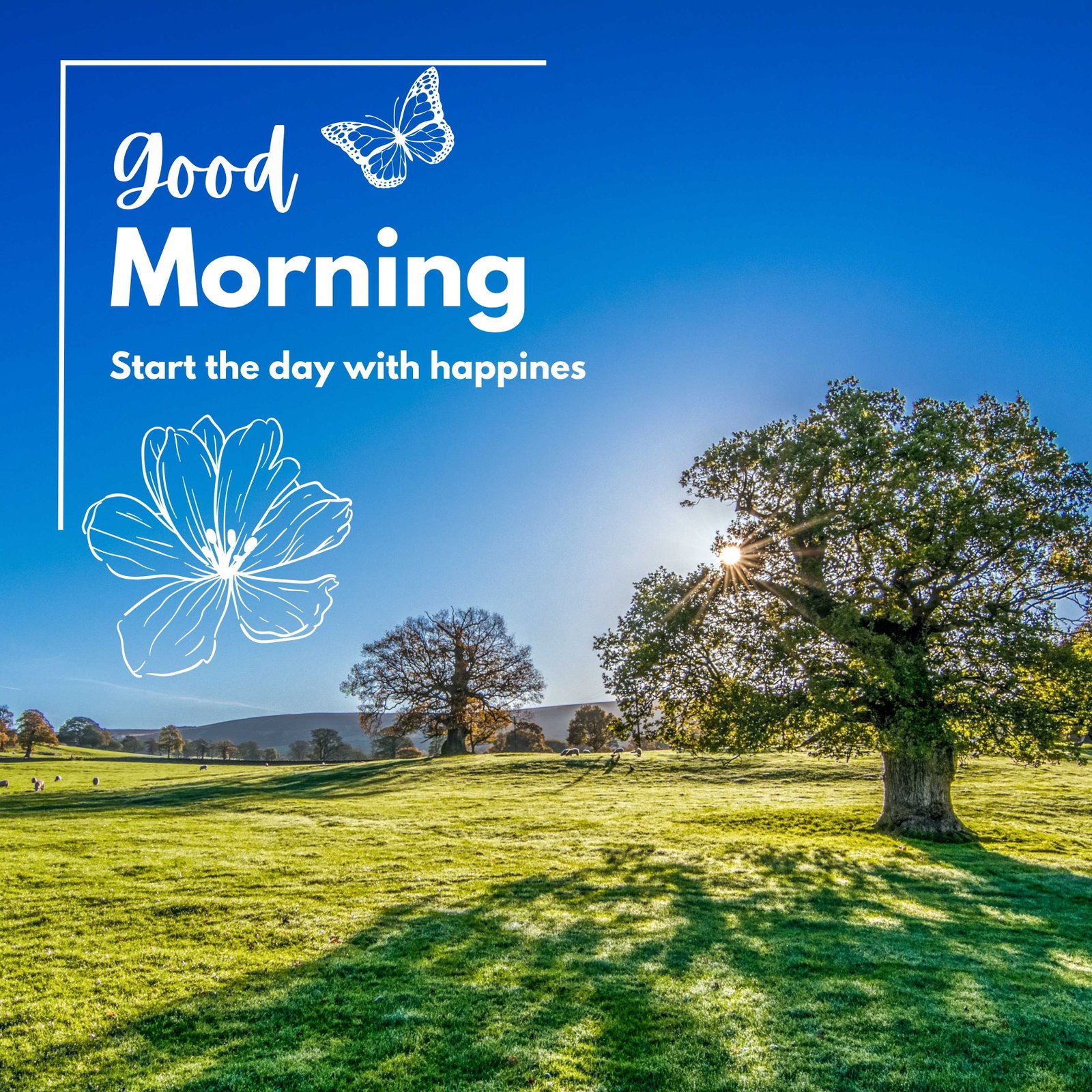 Good Morning