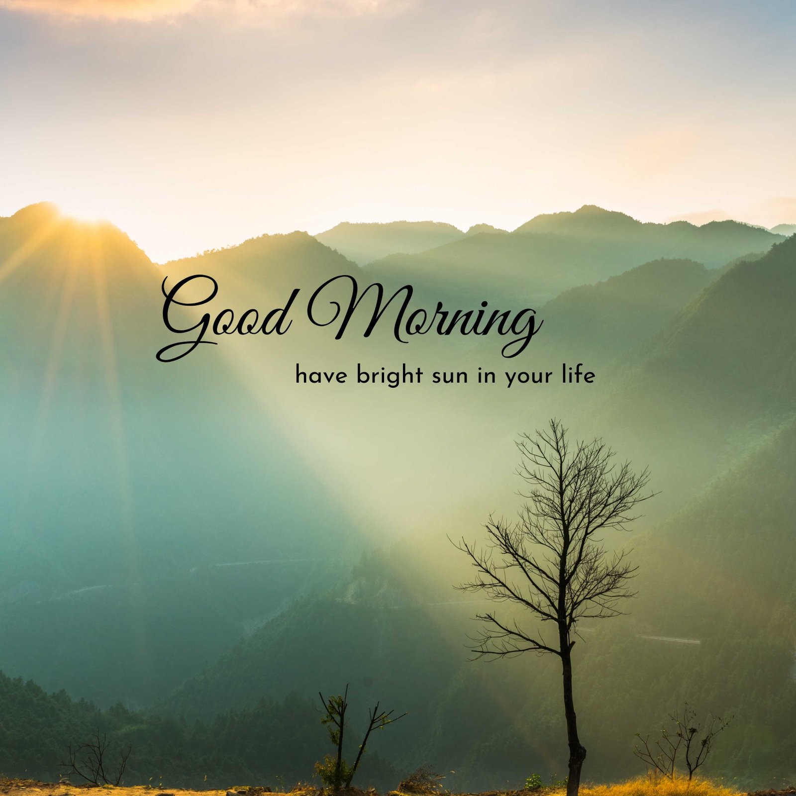 Good Morning