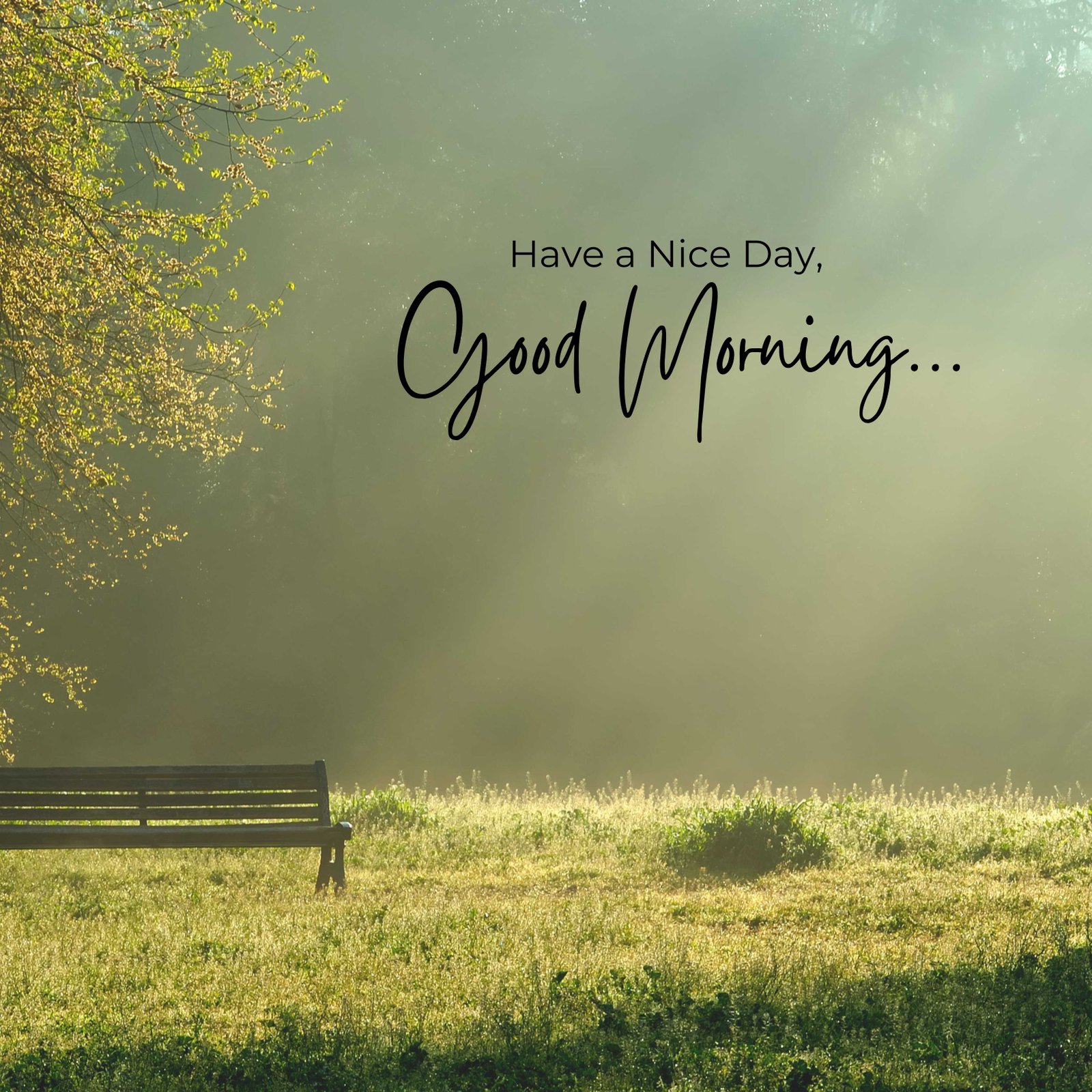 Good Morning