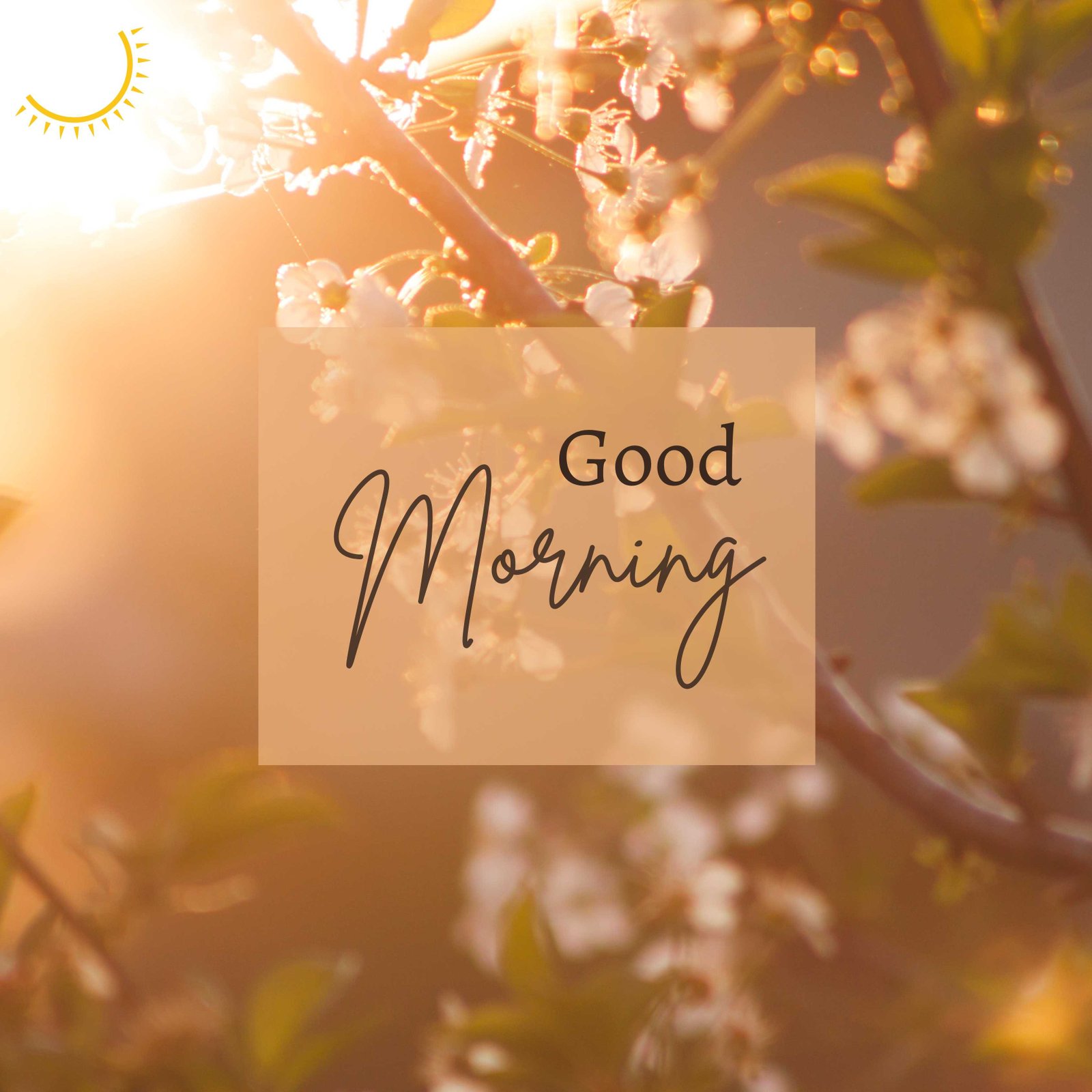 Good Morning