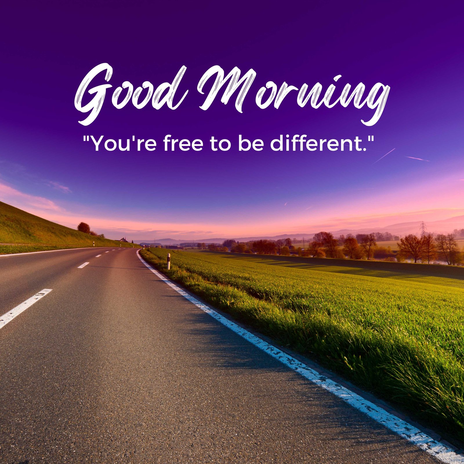 Good Morning